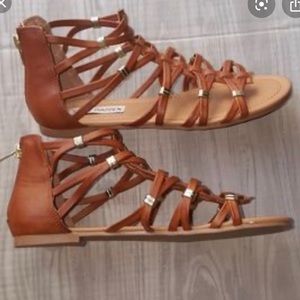 Steve Madden Carleey Gladiator Sandals